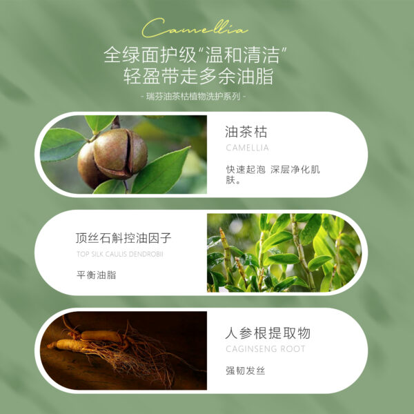 油茶枯植物洗护系列